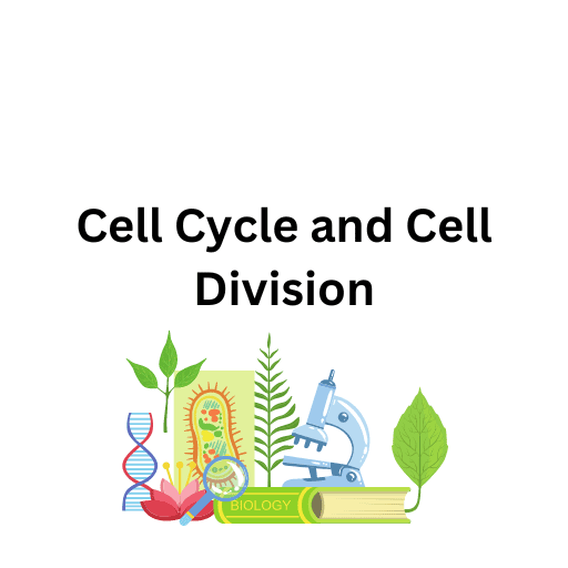 Cell Cycle and Cell Division